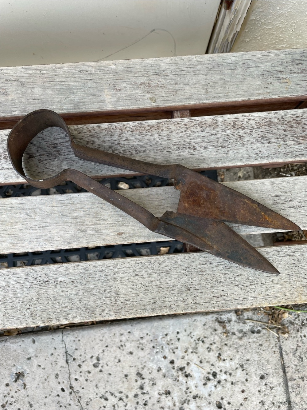 Vintage Antique Sheep Shears Primitive Farmhouse Decor Rustic Rusty Art Tool - Picture 3 of 12